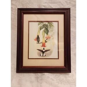 Gould Hummingbirds Collared Inca 14x10" Framed Reprint